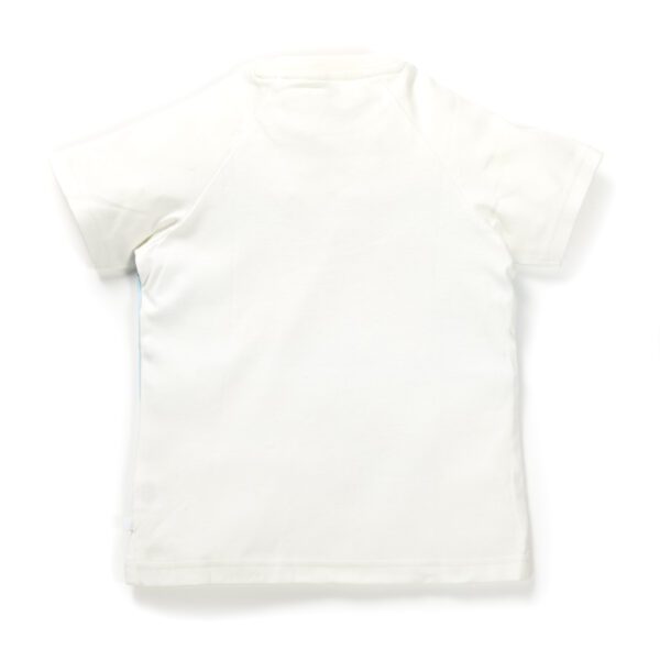 Boys Graphic Printed 100%Organic Cotton T-Shirt With parachute Fun Print- Blue - Image 3