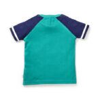 Boys Graphic Printed 100% Organic Cotton T-shirt with Text print-Mint Green - Image 3