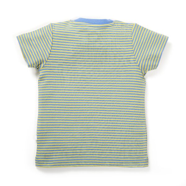 Boys Printed 100%Organic Cotton Elephant & panda Printed Round Neck T-Shirt Combo Pack of 2-Green and Blue - Image 9