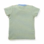Boys Printed 100%Organic Cotton Elephant & panda Printed Round Neck T-Shirt Combo Pack of 2-Green and Blue - Image 9