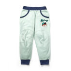 Boys Embroidered 100% Organic Cotton Boys Long Pants with racing Tiger- Lt green
