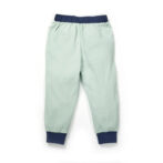 Boys Embroidered 100% Organic Cotton Boys Long Pants with racing Tiger- Lt green - Image 3