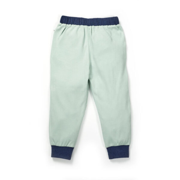 Boys Embroidered 100% Organic Cotton Boys Long Pants with racing Tiger- Lt green - Image 3