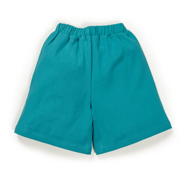 Kids Girls Graphic Printed 100%Organic Cotton Shorts - Blue and Pink - Image 4