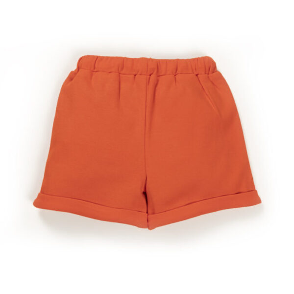 Baby Boys Graphic Printed 100% Organic Cotton Tee with Shorts- White and Orange - Image 3
