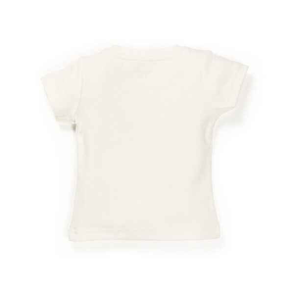 Baby Boys Graphic Printed 100% Organic Cotton Tee with Shorts- White and Orange - Image 6