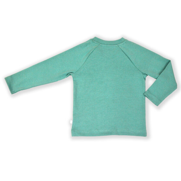 Modern Unisex Kids Wear 100% Organic Cotton Full Sleeve Raglan T-shirt with Umbrella & Frog Embroidered - Mint Green - Image 3