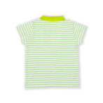 Fashionable Kids Wear for Boys 100% Organic Cotton Half Sleeve Stripes Polo T-shirt with Parrot Embroidered -  Green - Image 3