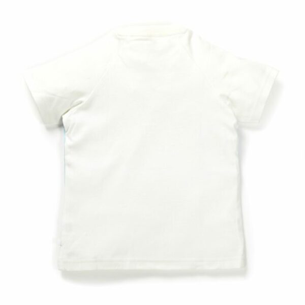 Boys Parachute Fun Printed 100% Organic Cotton T-Shirt - Image 3