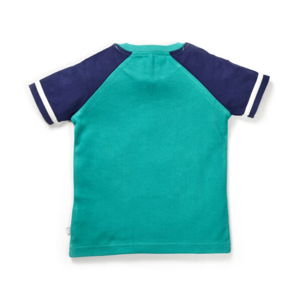 Boys Graphic Printed 100% Organic Cotton T-shirt - Image 2