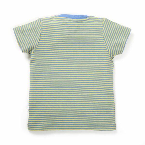 Boys Elephant & Panda Printed T-Shirt Combo - Image 9