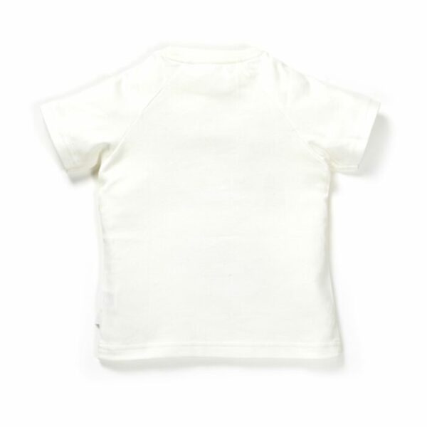 Boys Parachute Fun Print 100% Organic Cotton T-Shirt - Image 2