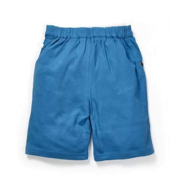 Boys Riders Embroidered 100% Organic Cotton Shorts - Image 3