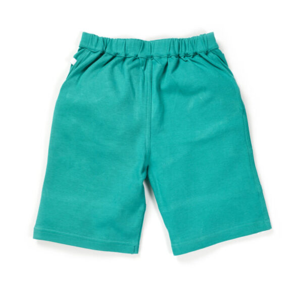 Boys Riders Embroidered 100% Organic Cotton Shorts - Image 2