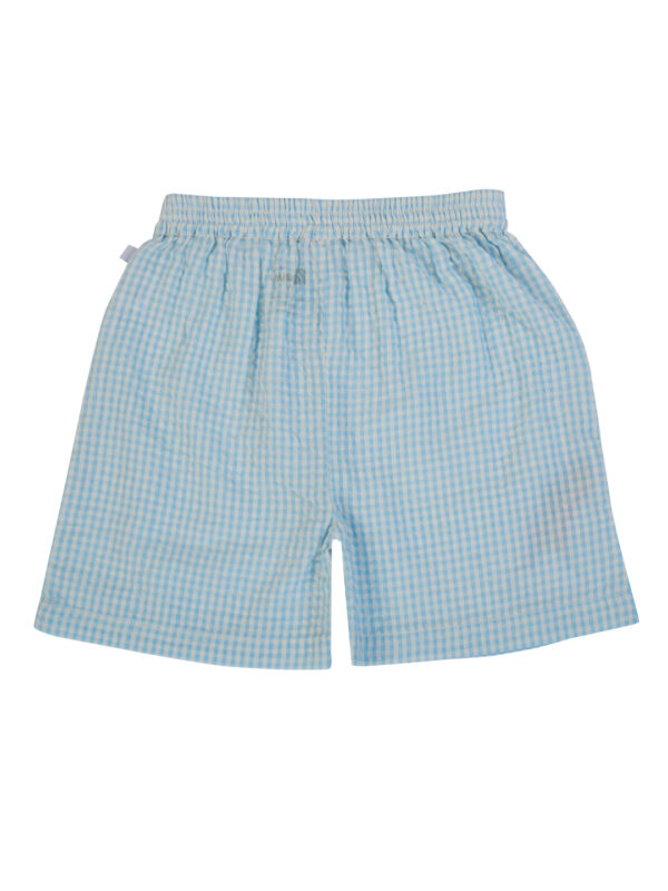 Boys Organic Cotton Seer-Sucker Aqua Checks Co-Ordinate - Image 6