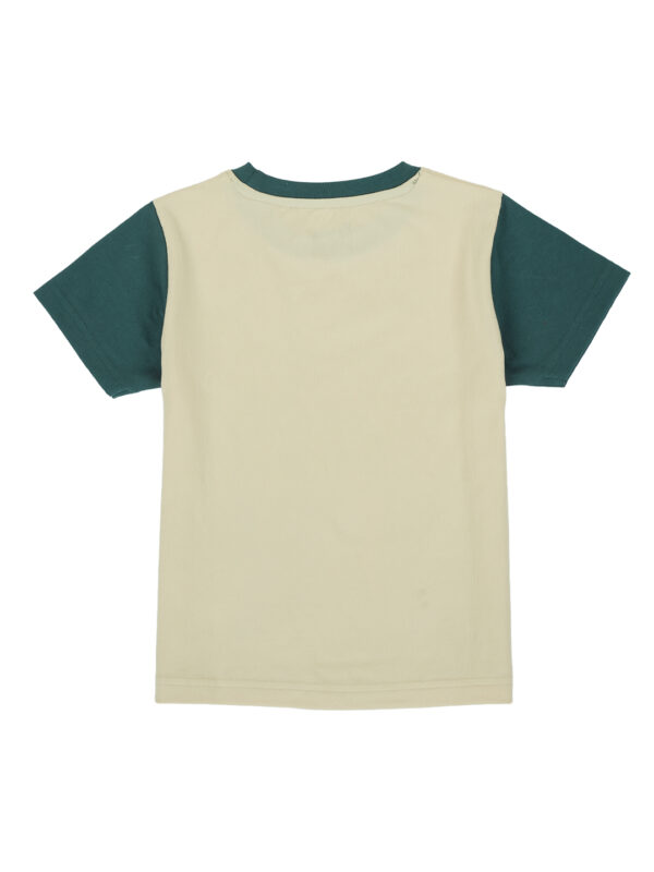 Pranava Boys Organic Cotton Single Jersey Half Sleeves Leafs Print And Bird Applique Tee & Shorts Set - Mallard Green - Image 6
