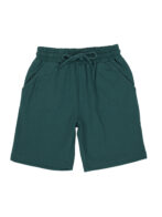 Pranava Boys Organic Cotton Single Jersey Half Sleeves Leafs Print And Bird Applique Tee & Shorts Set - Mallard Green - Image 7