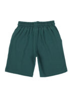 Pranava Boys Organic Cotton Single Jersey Half Sleeves Leafs Print And Bird Applique Tee & Shorts Set - Mallard Green - Image 8