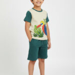 Pranava Boys Organic Cotton Single Jersey Half Sleeves Leafs Print And Bird Applique Tee & Shorts Set - Mallard Green