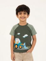 Boys Organic Cotton Lycra Jersey Short Sleev Carrot Crane Applique T-Shirt - Grey