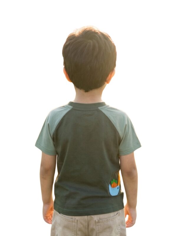 Boys Organic Cotton Lycra Jersey Short Sleev Carrot Crane Applique T-Shirt - Grey - Image 2