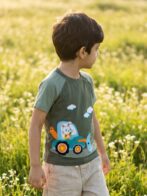 Boys Organic Cotton Lycra Jersey Short Sleev Carrot Crane Applique T-Shirt - Grey - Image 3