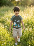 Boys Organic Cotton Lycra Jersey Short Sleev Carrot Crane Applique T-Shirt - Grey - Image 4